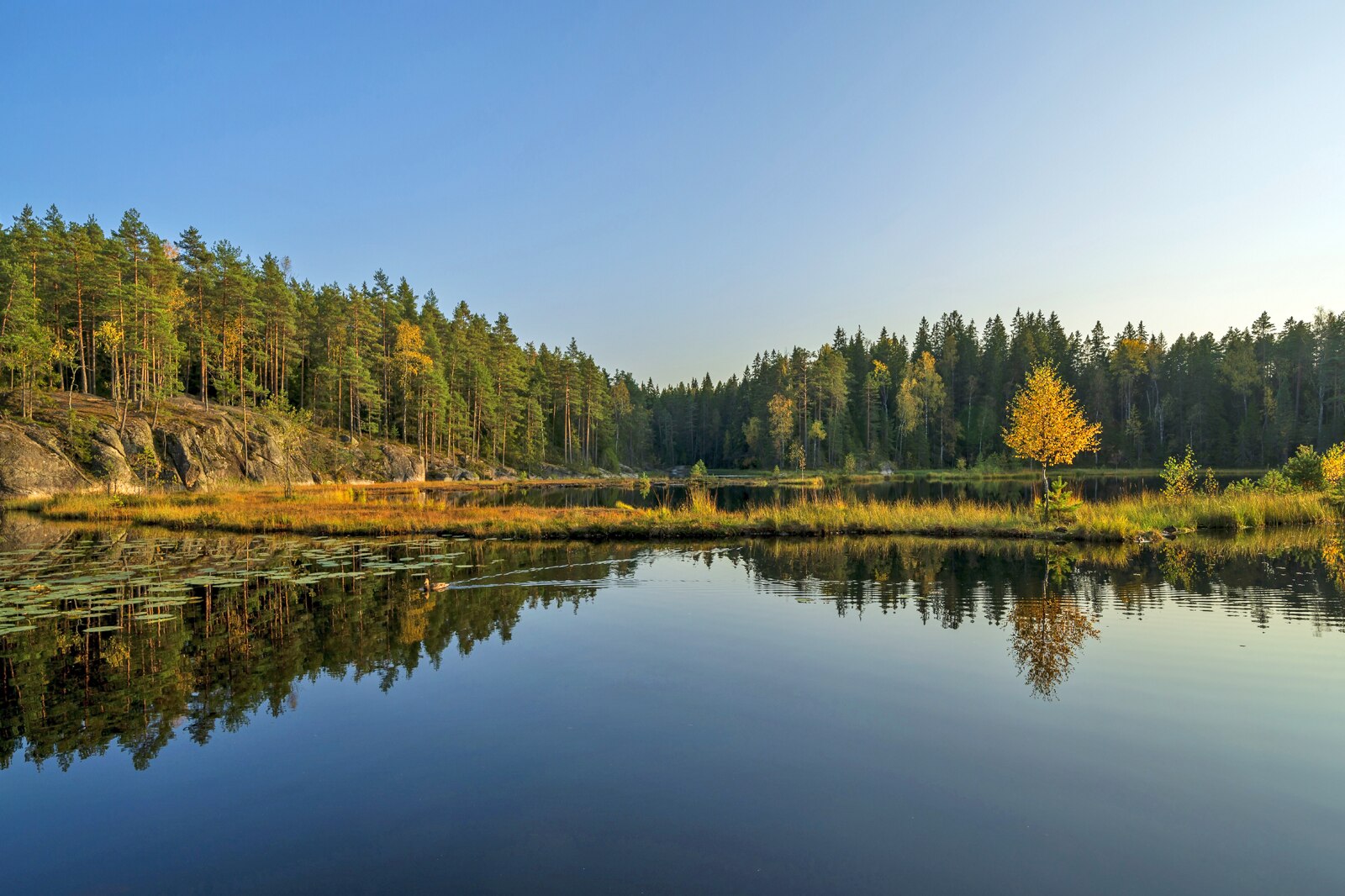 پارک ملی Nuuksio - Nuuksio National Park