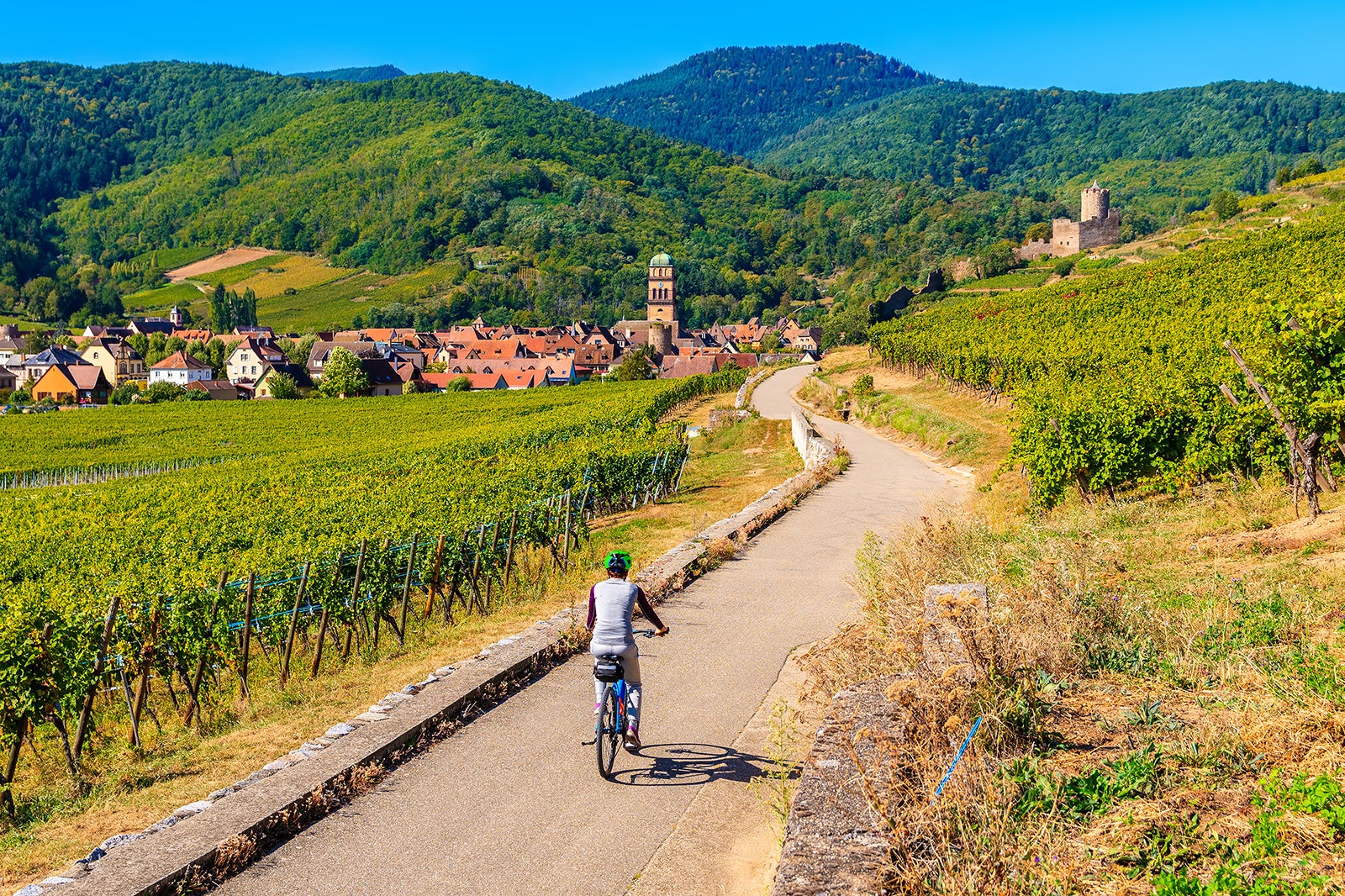 تور نوشابه آلزاس - Alsace wine tour