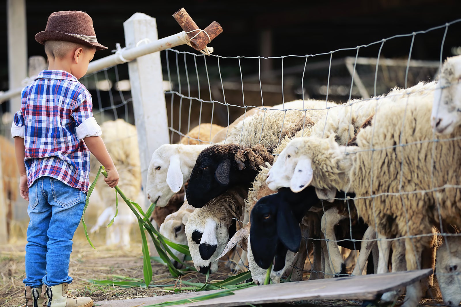 مزرعه آموزشی Marcel Dhénin - Marcel Dhénin Educational Farm