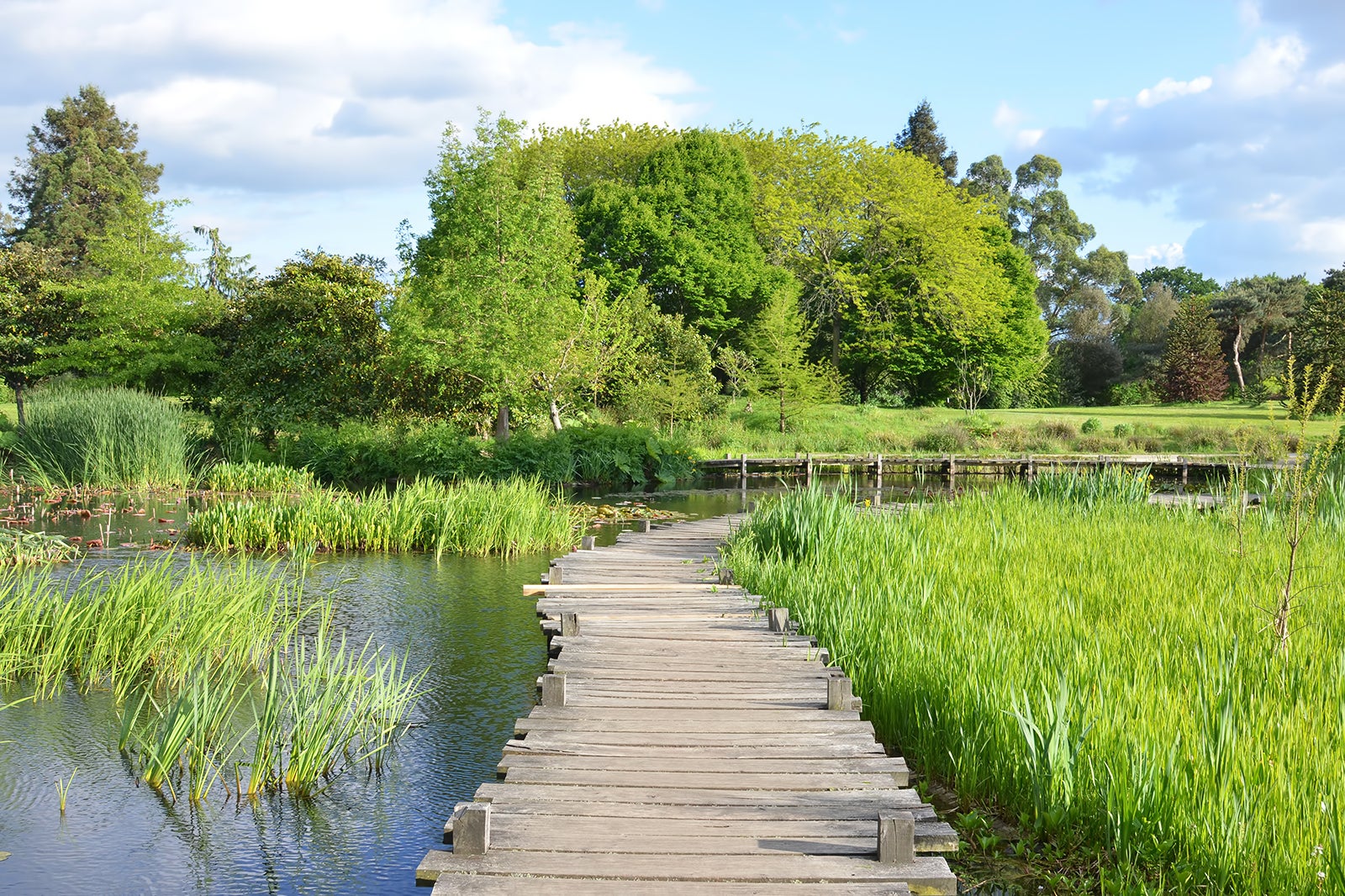 پارک بزرگ بلوترو - Grand Blottereau Park (Parc du Grand Blottereau)