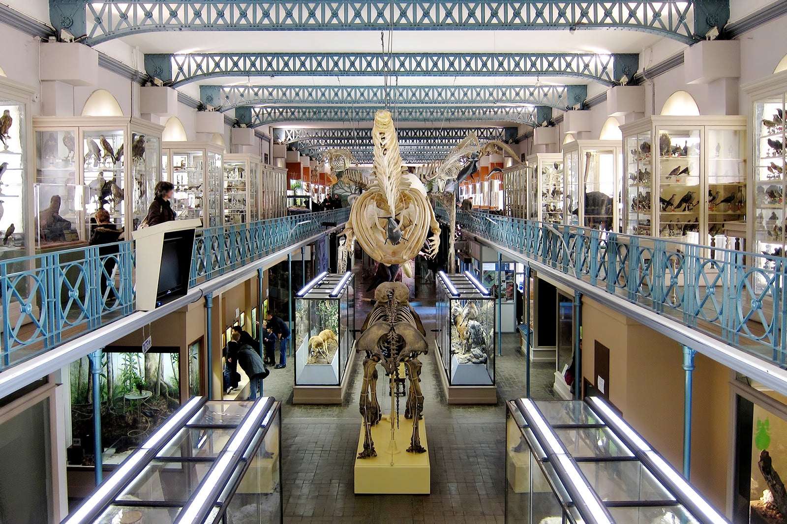 موزه تاریخ طبیعی لیل - Lille Museum of Natural History