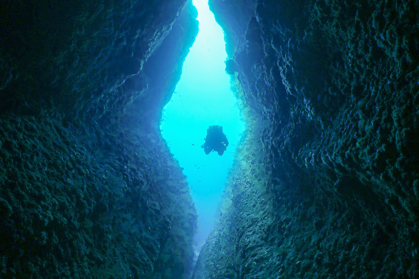 در غارهای زیر آب شیرجه بزنید - Dive in underwater caverns