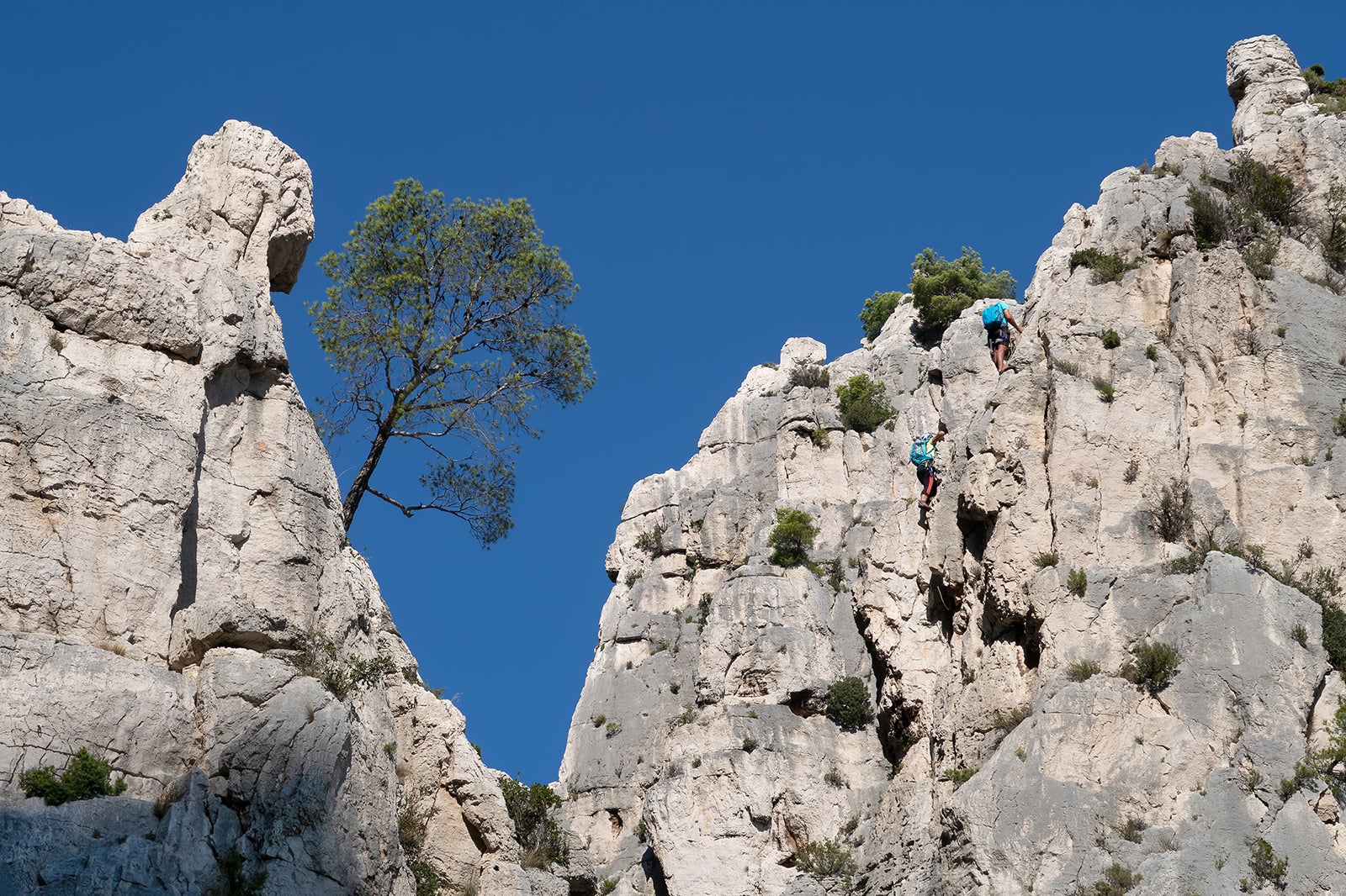 به صخره نوردی روی صخره ها بروید - Go rock climbing on the cliffs