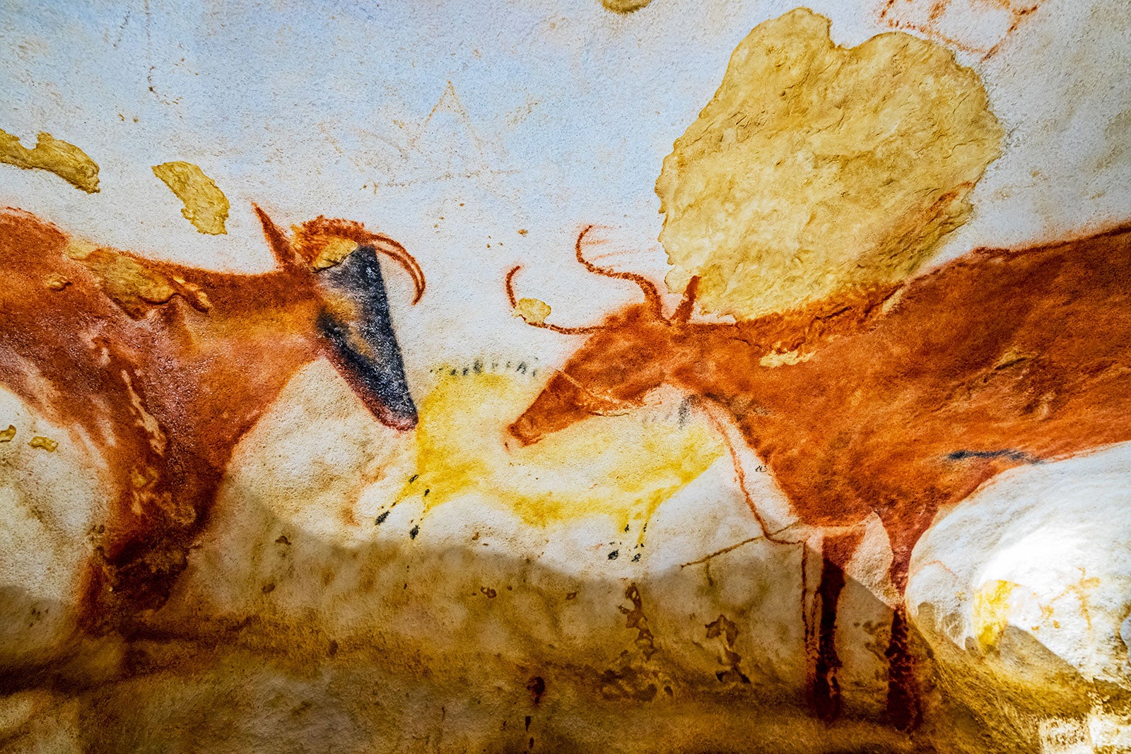 غار لاسکو - Grotte de Lascaux