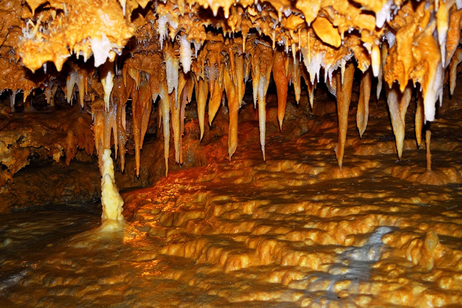 Grotte De Rouffignac - Grotte De Rouffignac