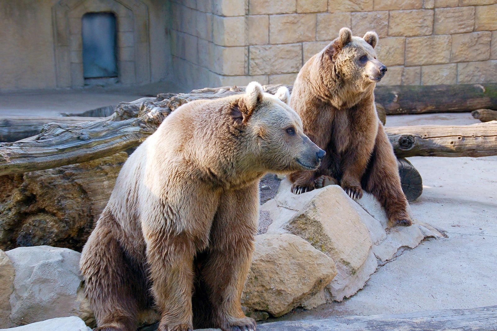 پارک حیوانات پیرنه - Animal Park of the Pyrenees