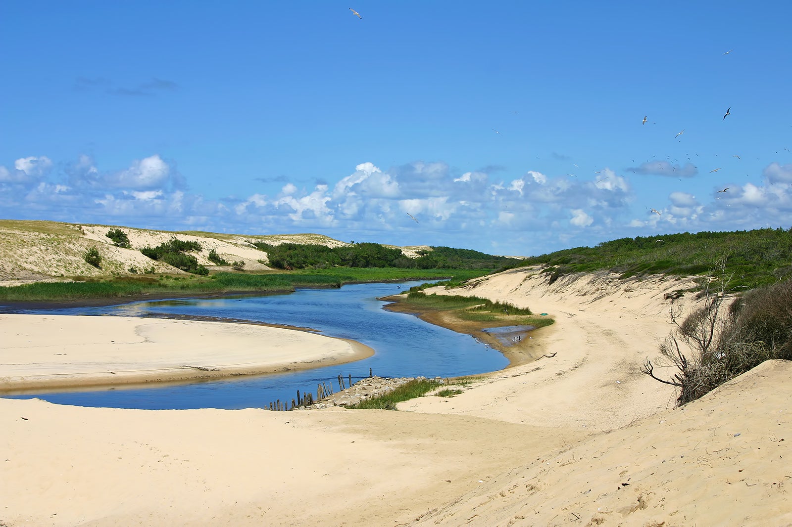 ذخیره‌گاه طبیعی Courant d’Huchet - Courant d'Huchet Nature Reserve