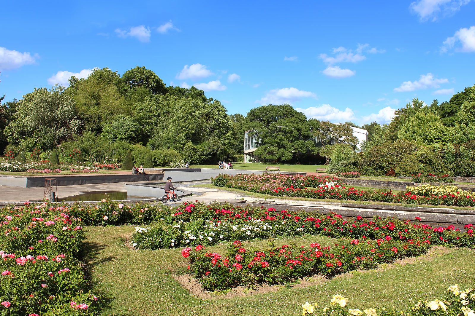 باغ گیاه شناسی - The Botanical Garden