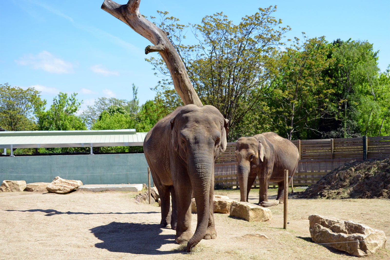 باغ وحش توروپارک - Touroparc Zoo