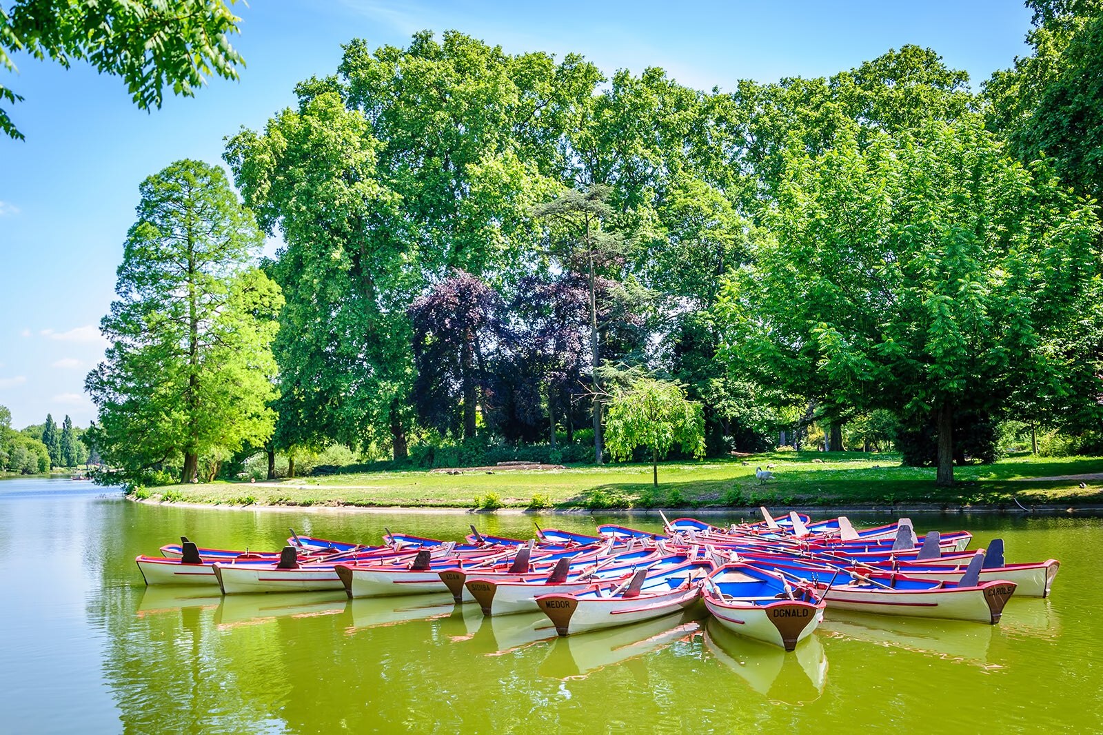 بوآ دو وینسنس - Bois de Vincennes