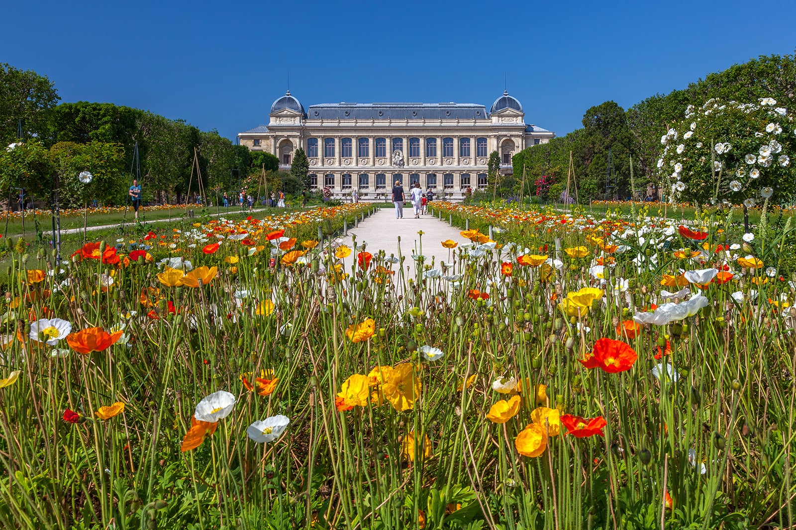 Jardin des Plantes - Jardin des Plantes