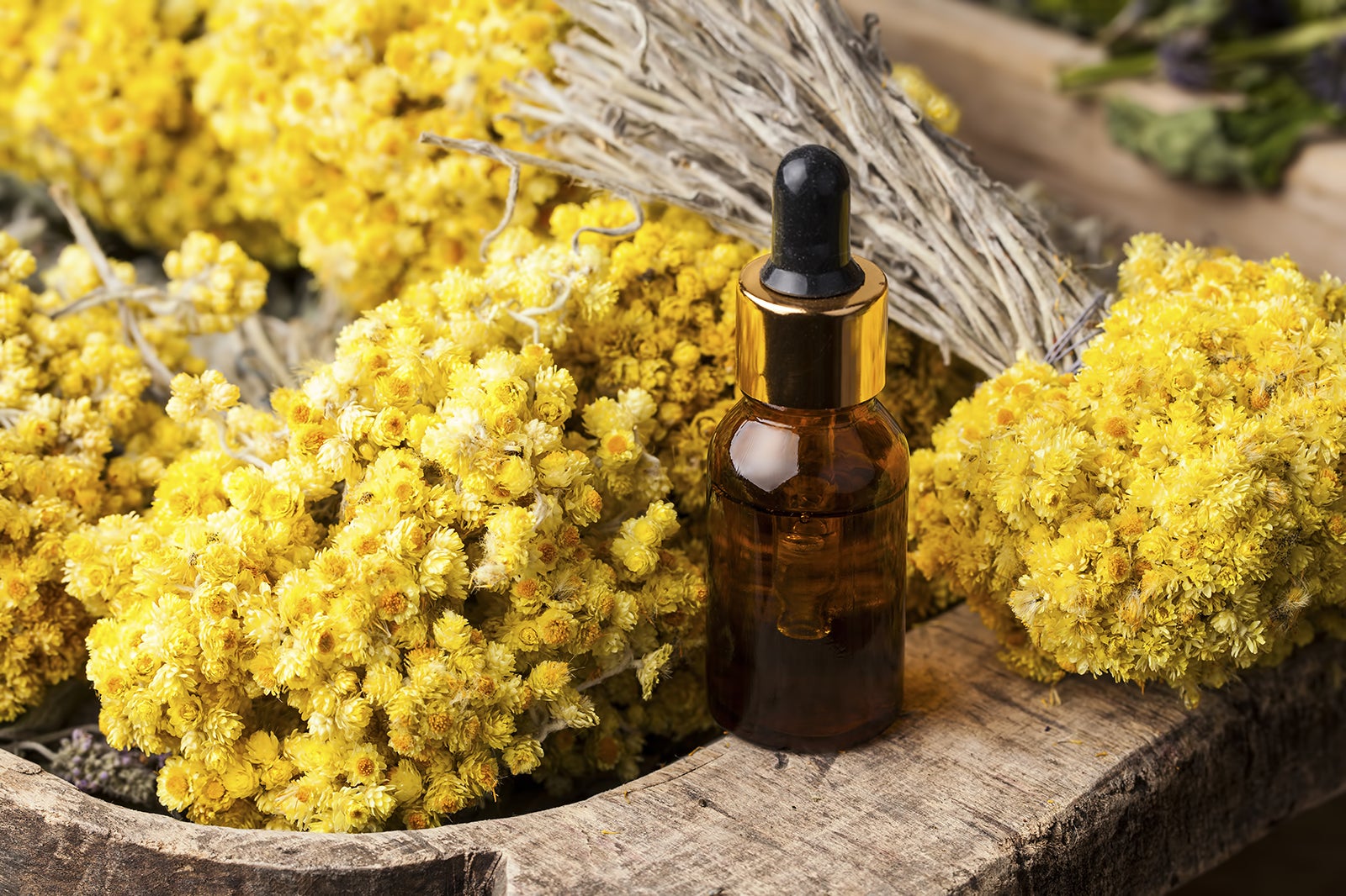 روغن جاویدان - Immortelle oil