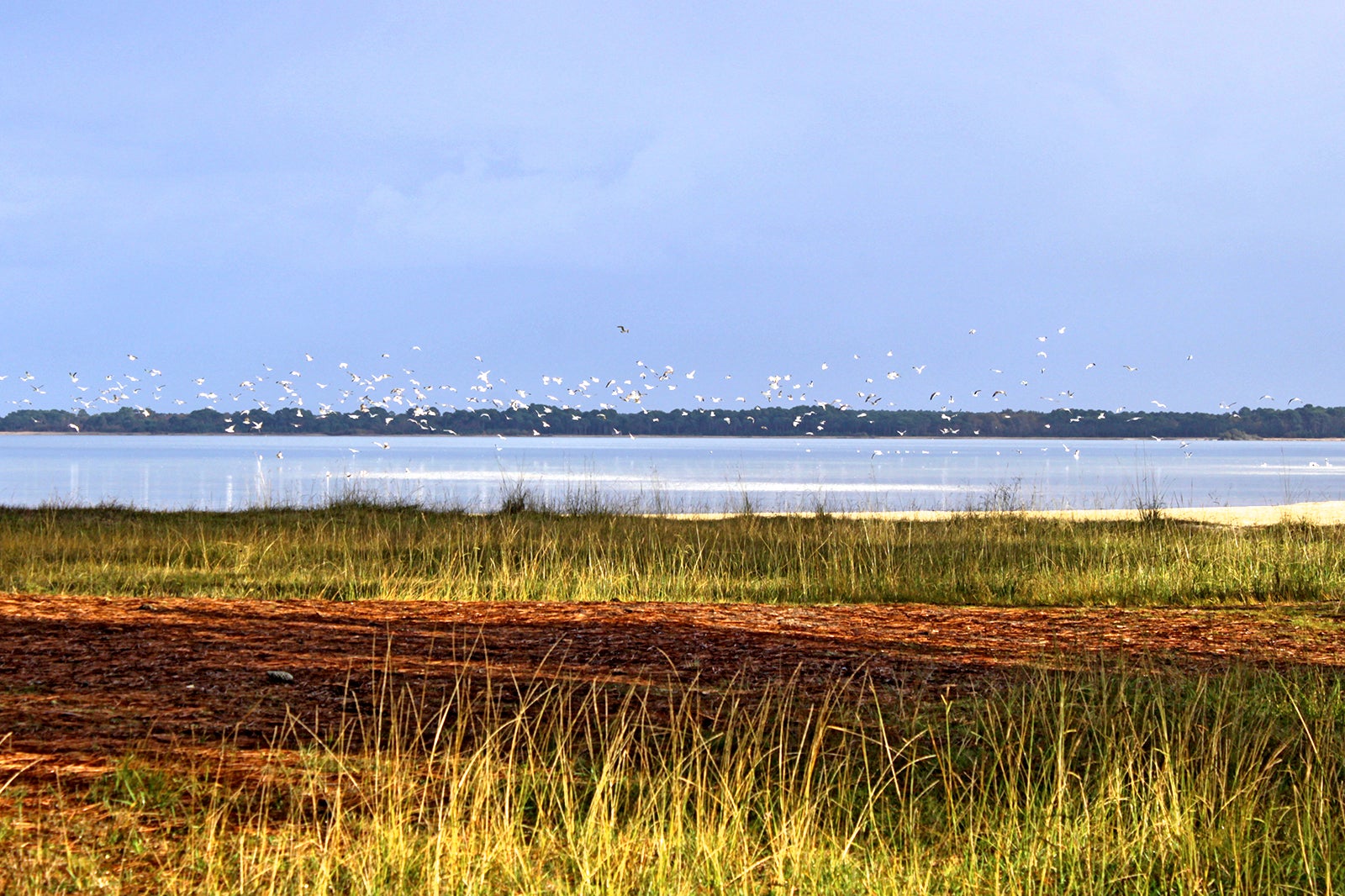 ساحل دریاچه بوردو - Plage de Bordeaux Lac