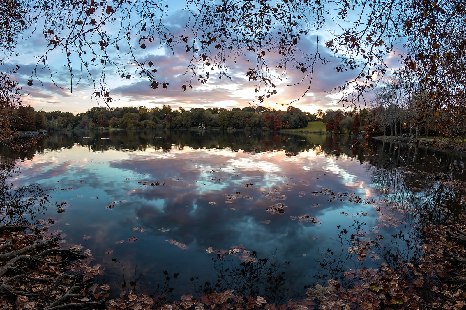 دریاچه ماریون - Marion Lake