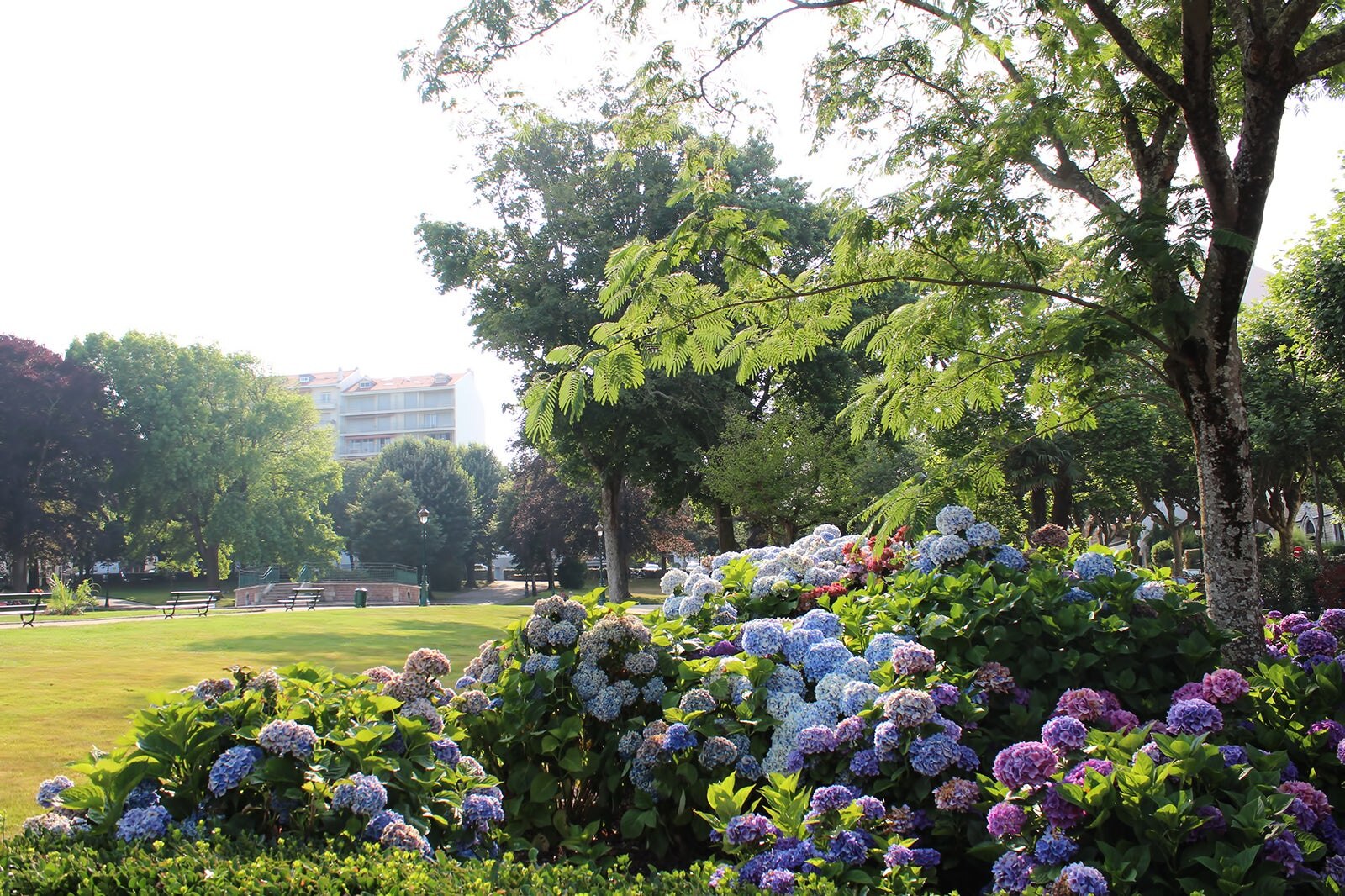 باغ عمومی پیر فورسانس - Pierre Forsans Public Garden