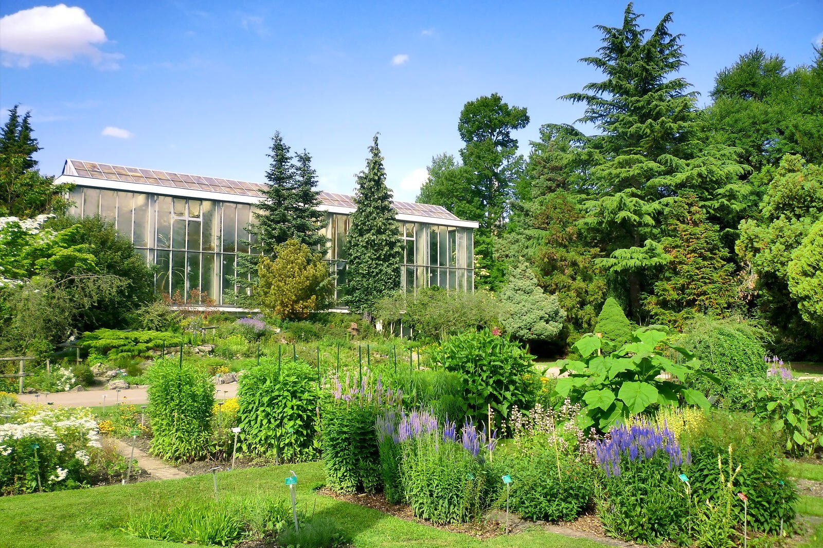 باغ گیاه شناسی دانشگاه استراسبورگ - Botanical Gardens of Strasbourg University