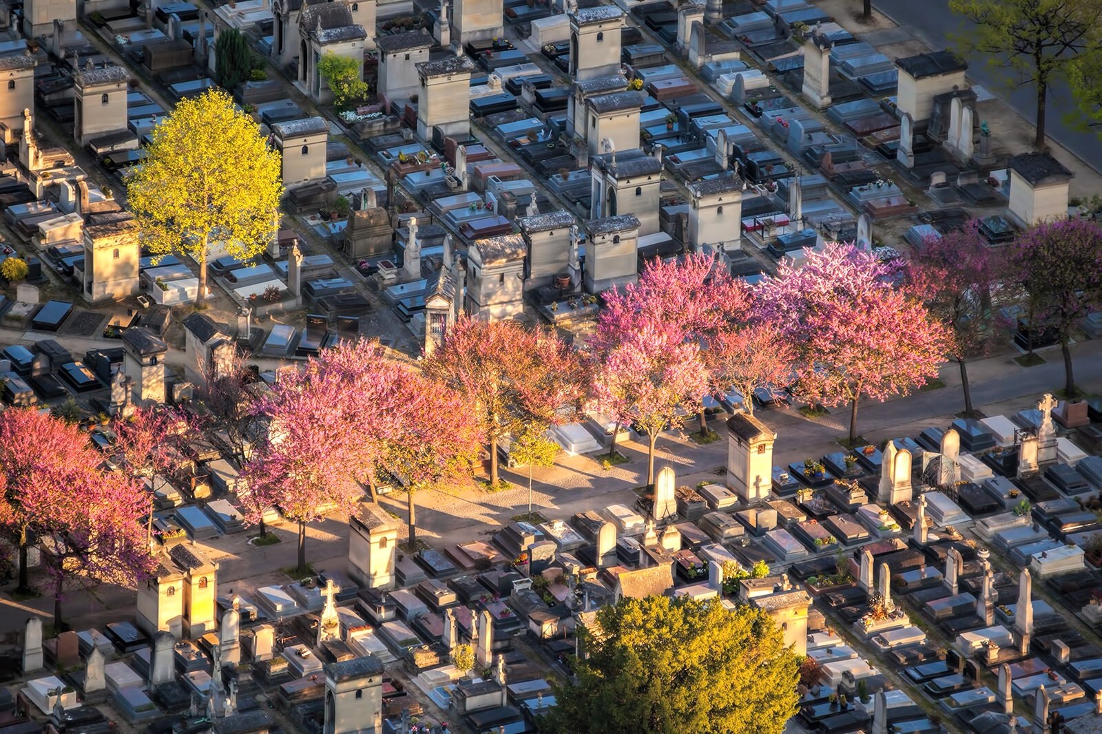 گورستان مونپارناس - Montparnasse Cemetery