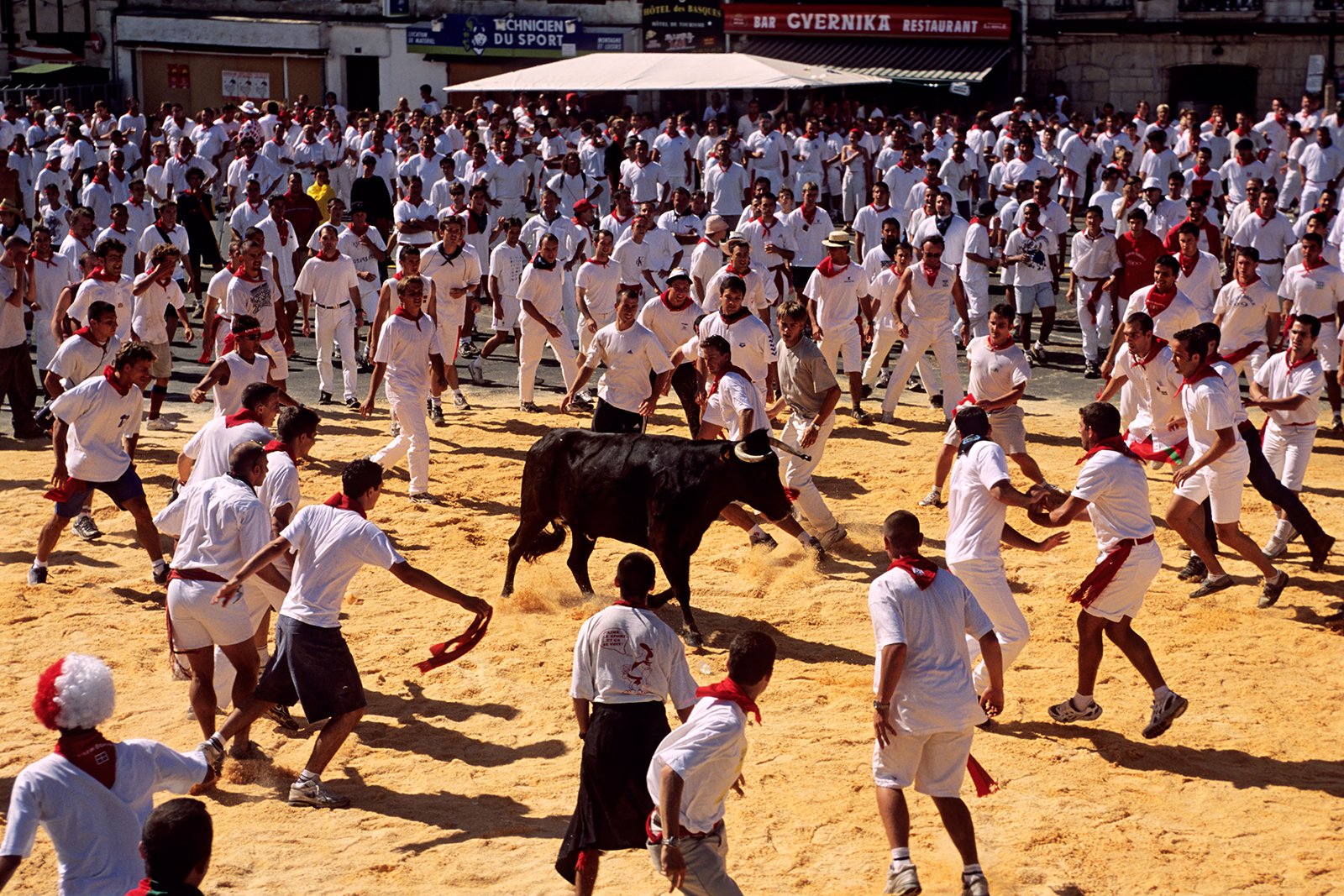 مسابقه گاو نر کامارگ - Camarguaise Bull Race