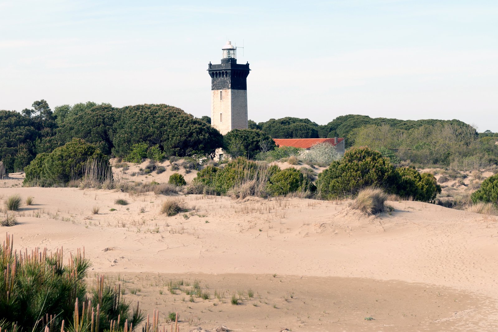 ساحل L’Espiguette - L’Espiguette Beach