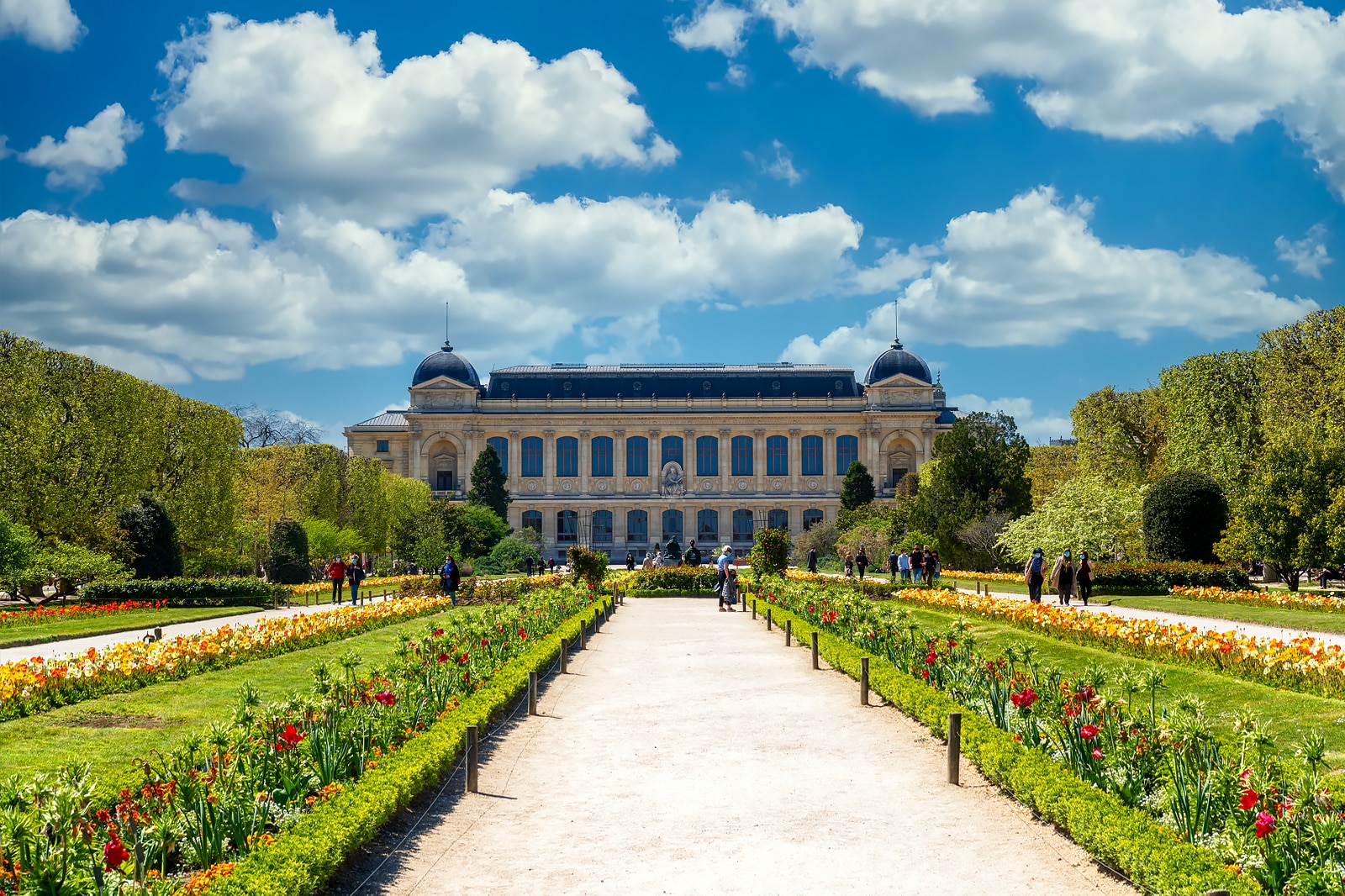 موزه ملی تاریخ طبیعی - National Museum of Natural History