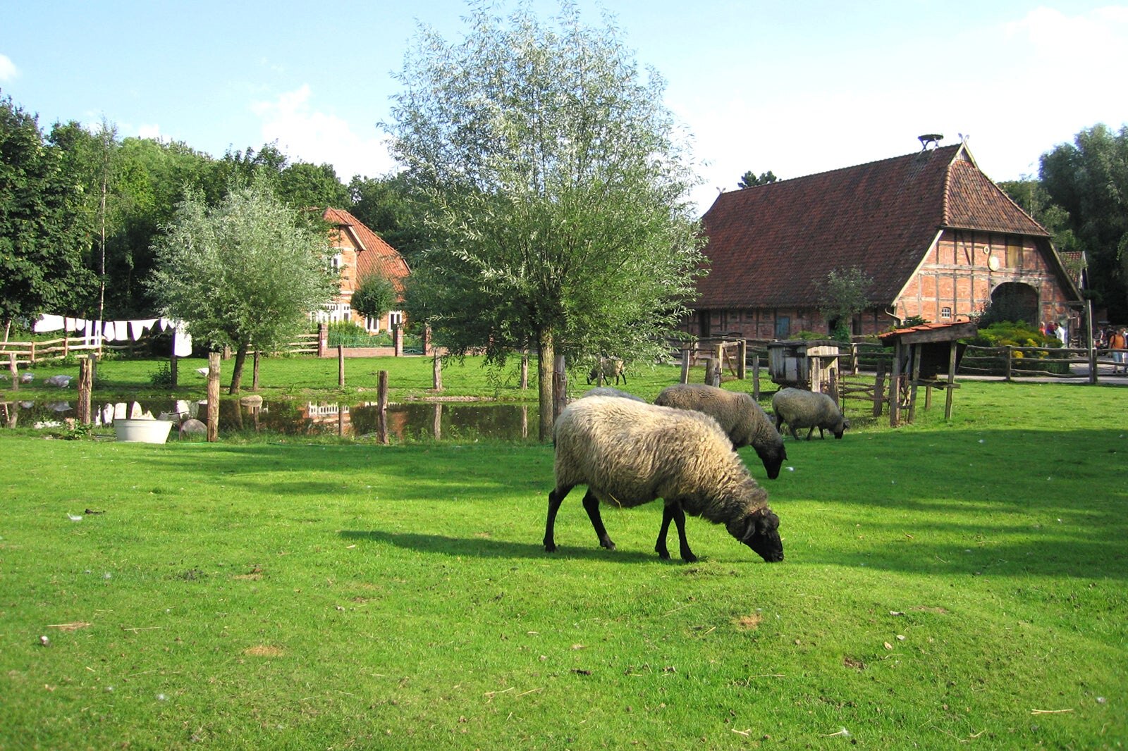 باغ وحش ماجراجویی هانوفر - Erlebnis-Zoo Hannover