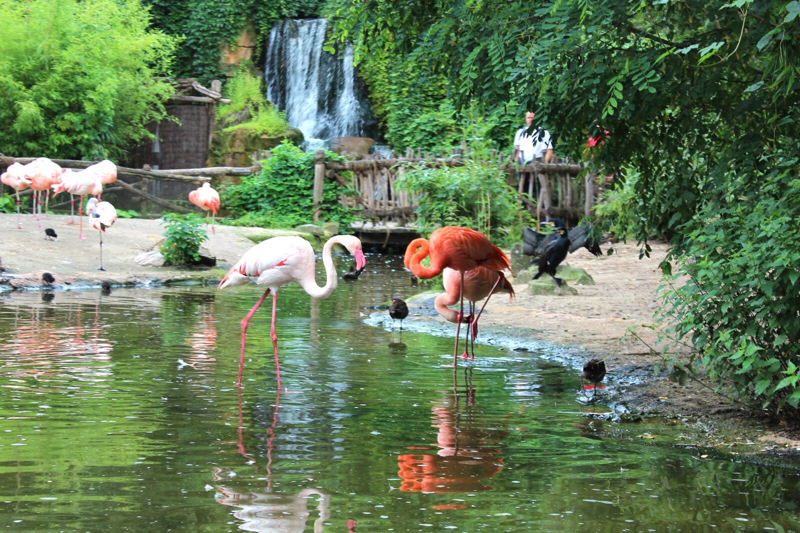 باغ وحش هانوفر - Hannover Zoo