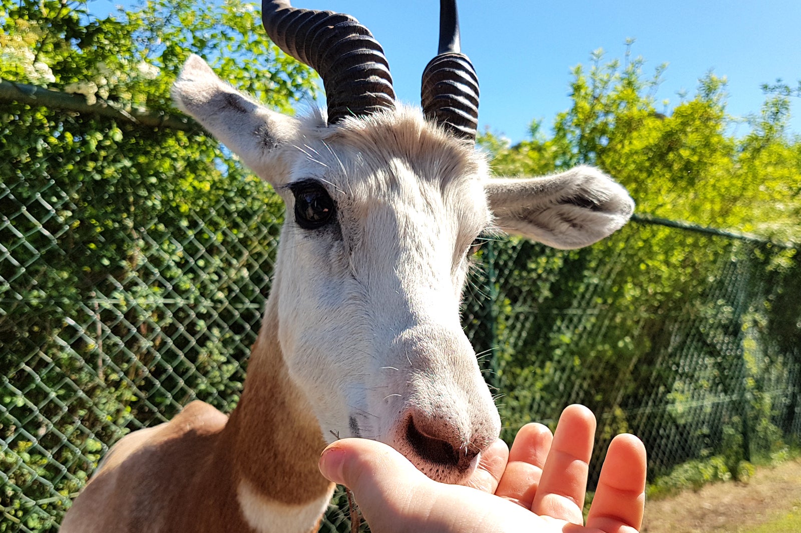 پارک سرنگتی هودنهاگن - Serengeti Park Hodenhagen