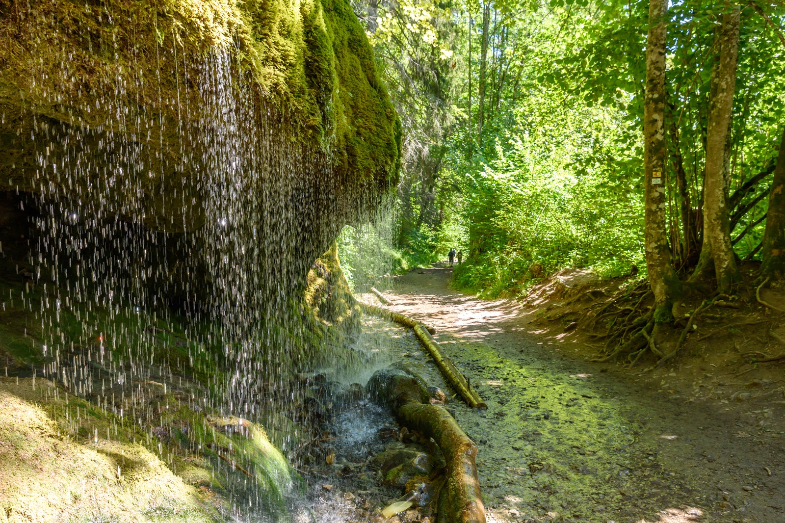 تنگه Wutach - Wutach Gorge