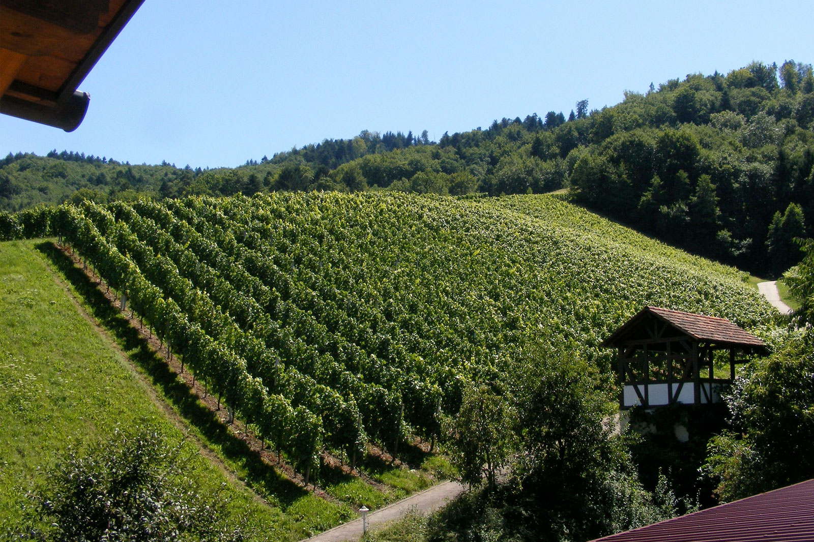 جاده نوشابه بادن - Baden Wine Road