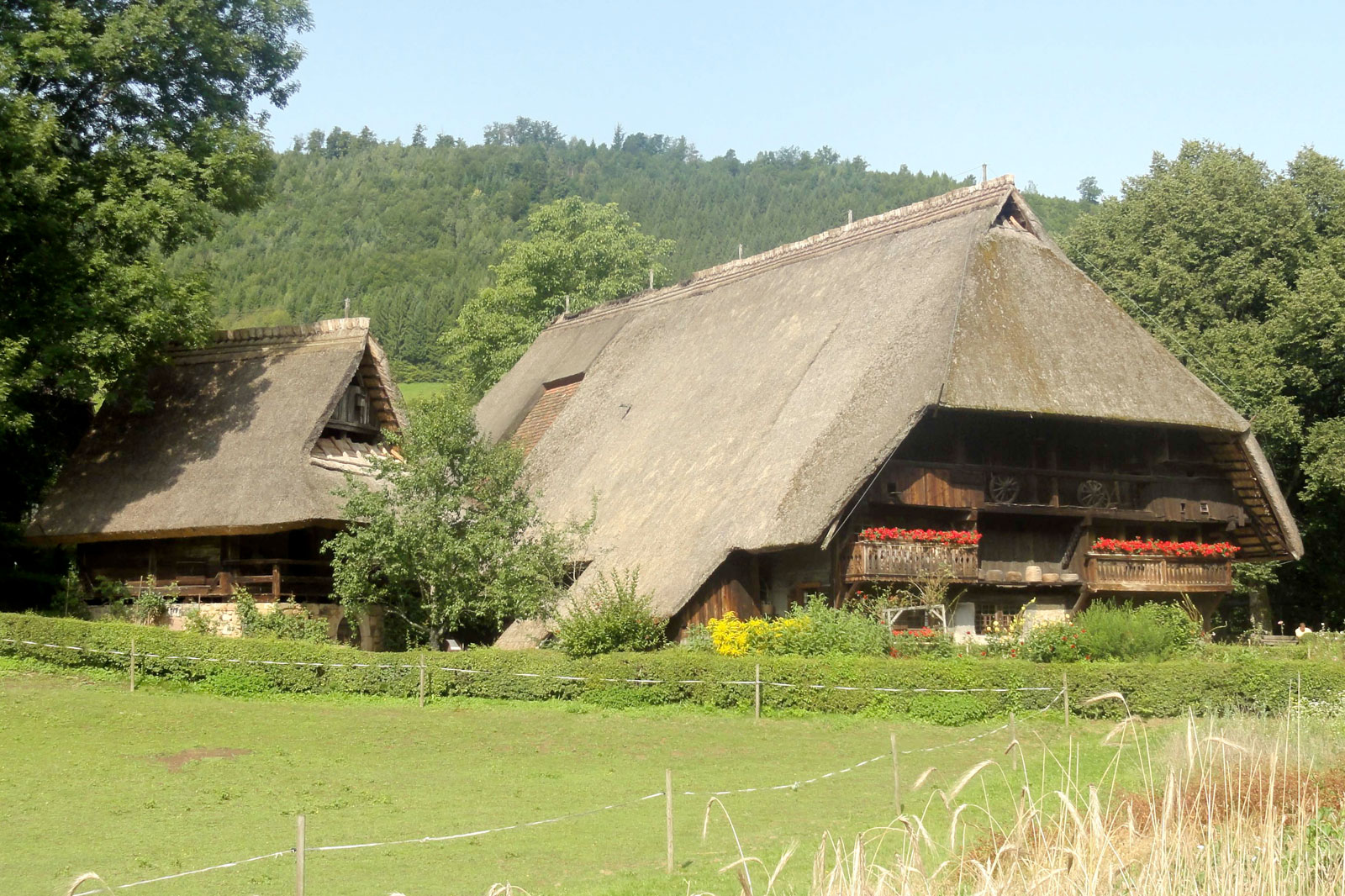 موزه فضای باز جنگل سیاه - Black Forest Open Air Museum