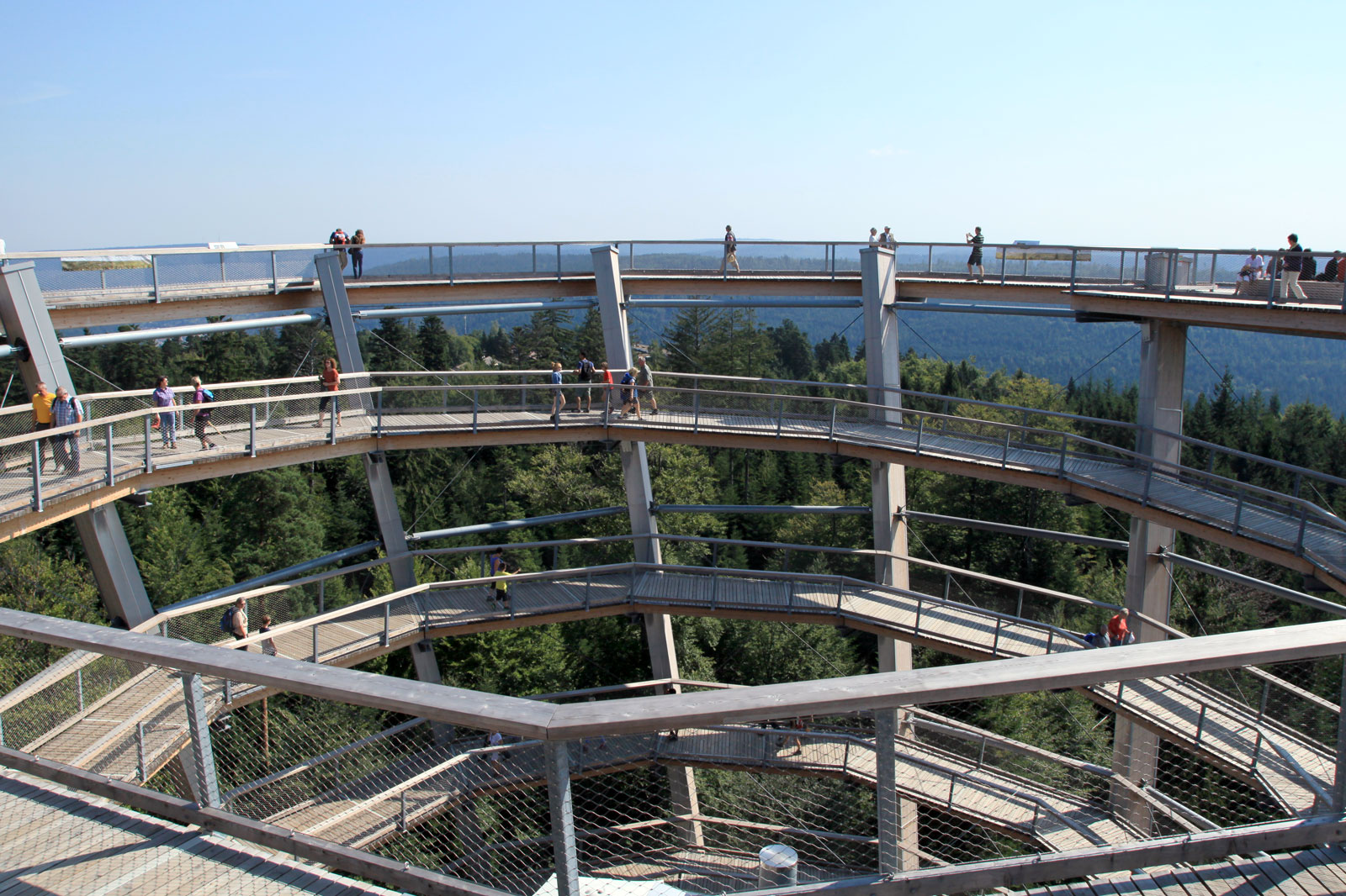 پیاده روی بالای درخت جنگل سیاه - Black Forest Treetop Walk