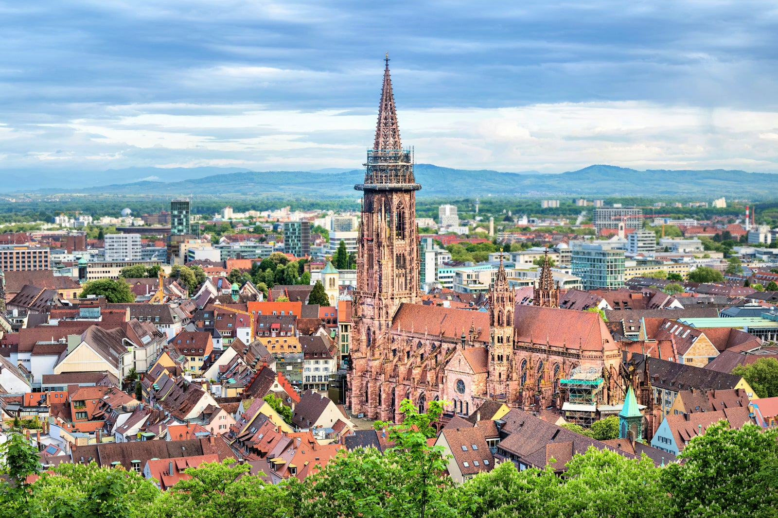 کلیسای جامع فرایبورگ - Freiburg Cathedral