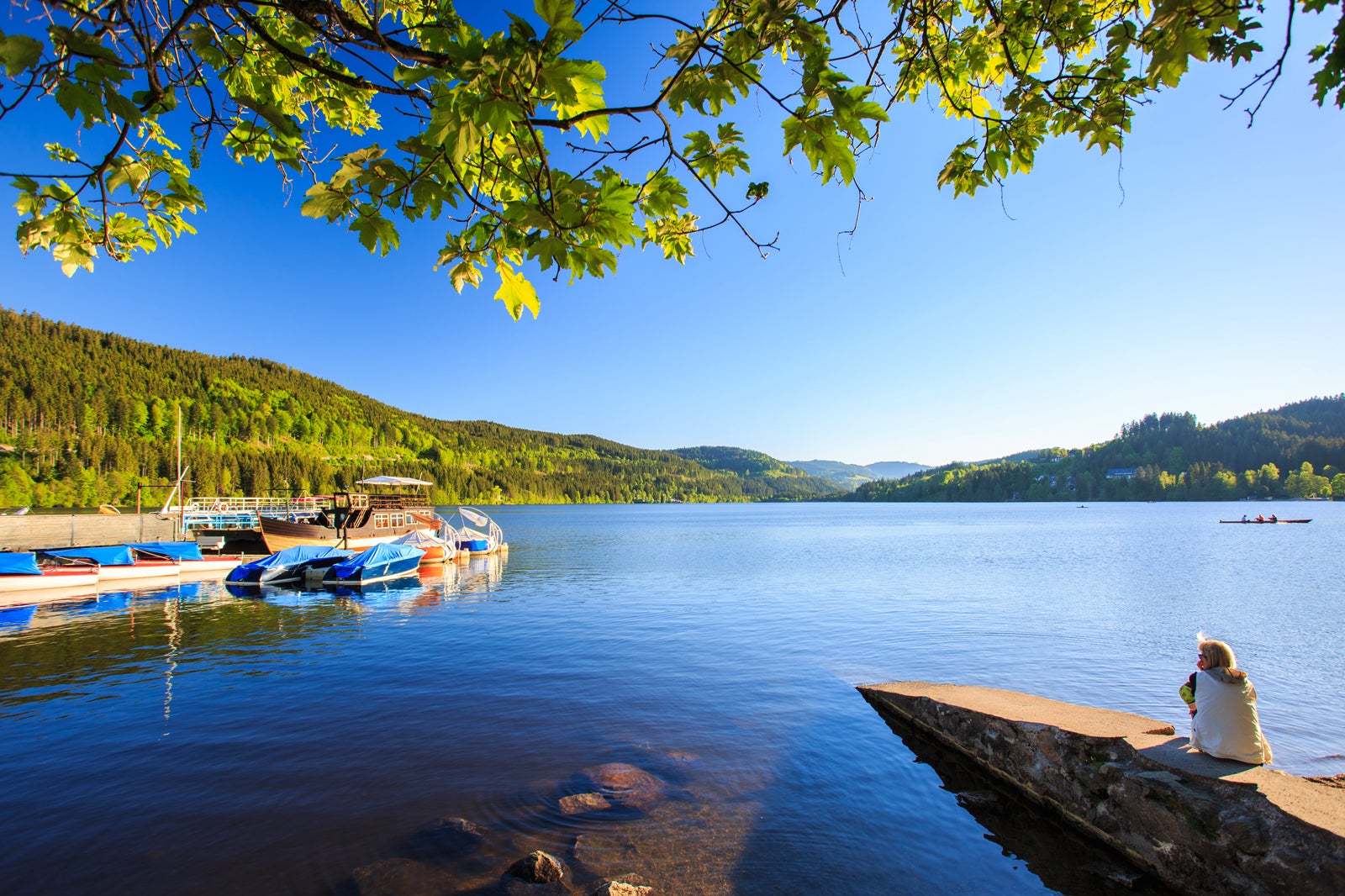 دریاچه تیتیس - Lake Titisee