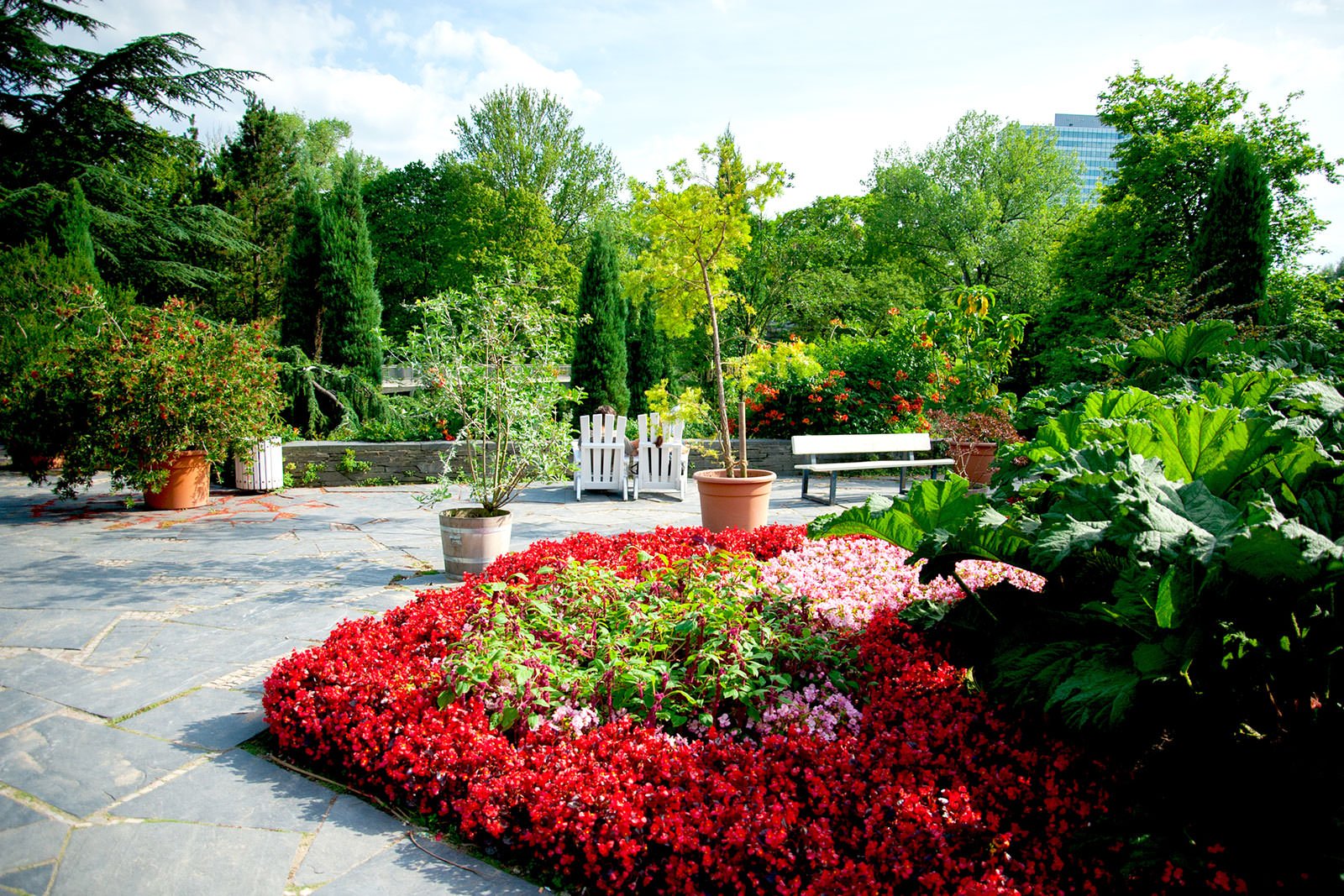 گیاهان در پارک بلومن - Planten um Blomen park