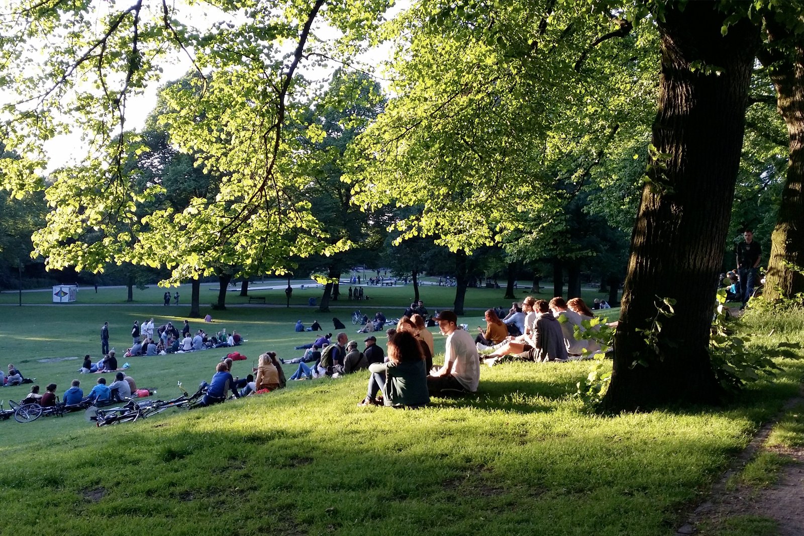 سینماهای روباز - Open-air cinemas