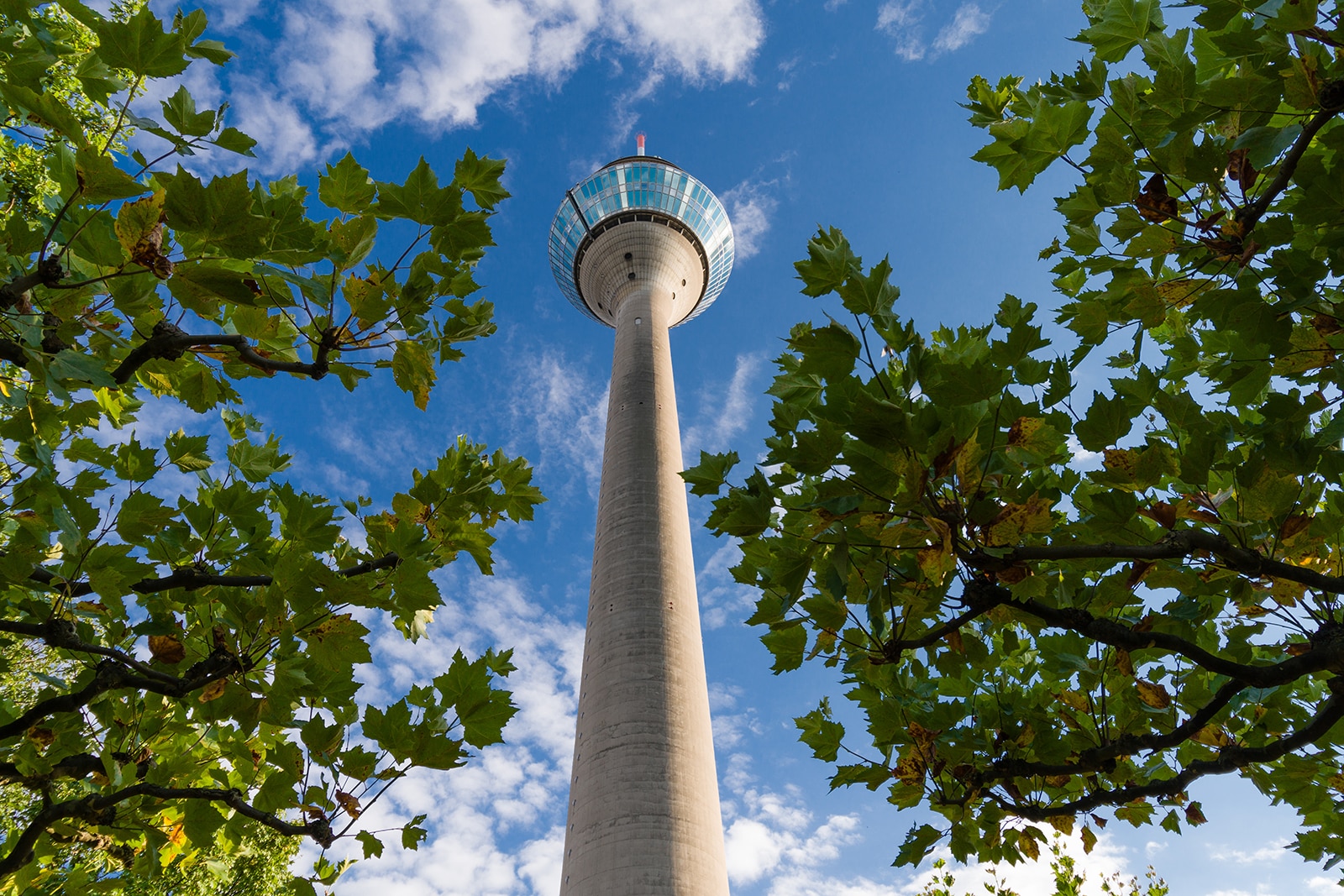 برج راین - Rhine Tower