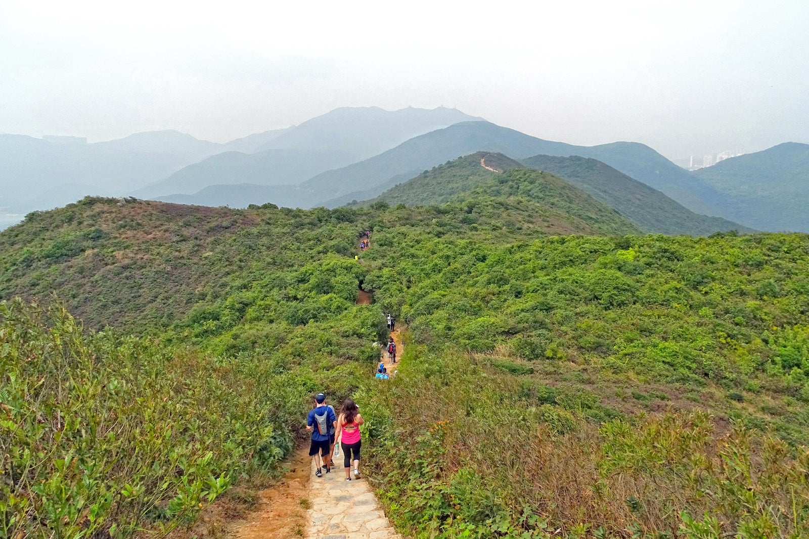 Dragon's Back Hike هنگ کنگ - Dragon’s Back Hike Hong Kong