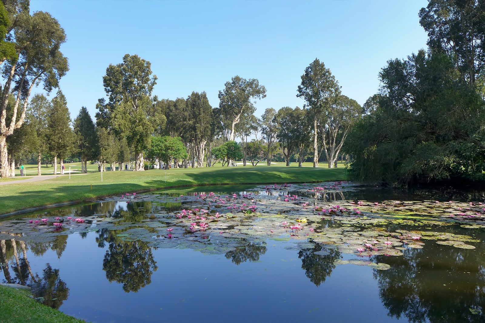 باشگاه گلف هنگ کنگ - Hong Kong Golf Club