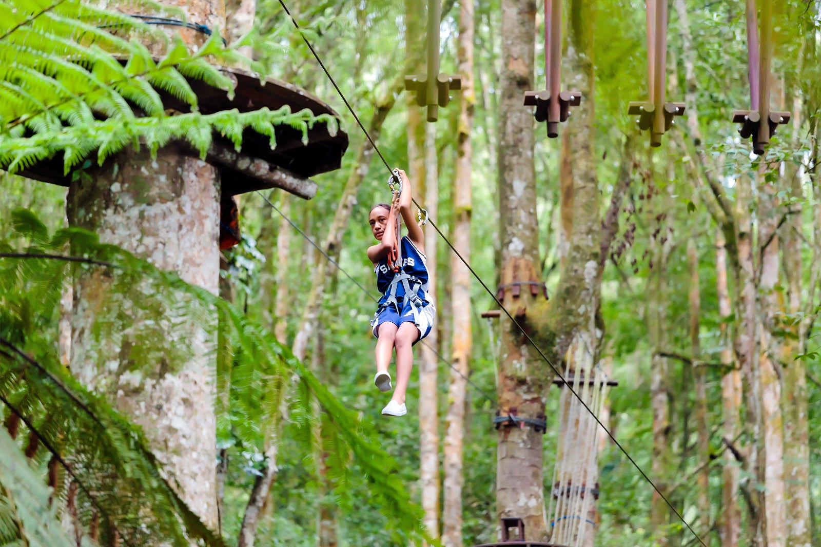 پارک ماجراجویی بالای درخت بالی - Bali Treetop Adventure Park