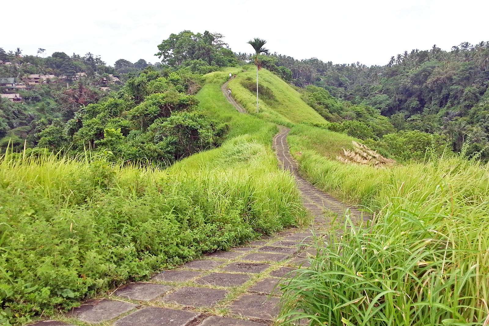 کامپوهان ریج - Campuhan Ridge