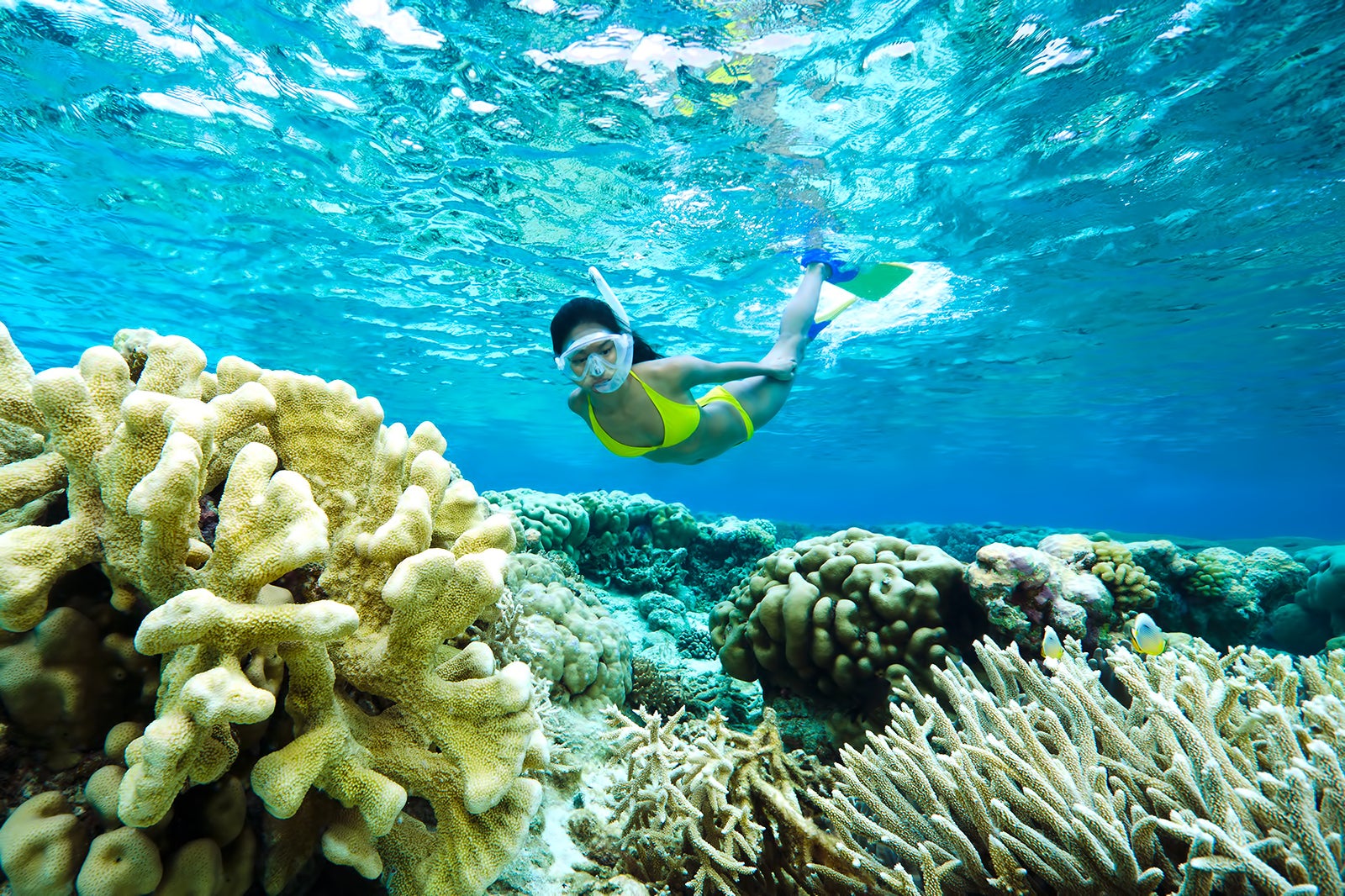 غواصی در اطراف Candidasa - Snorkeling around Candidasa