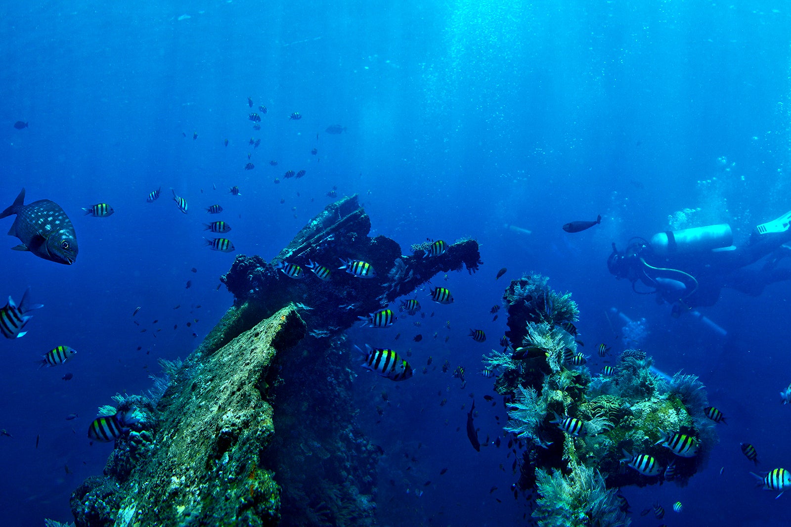 کشتی غرق شده لیبرتی USAT - USAT Liberty shipwreck