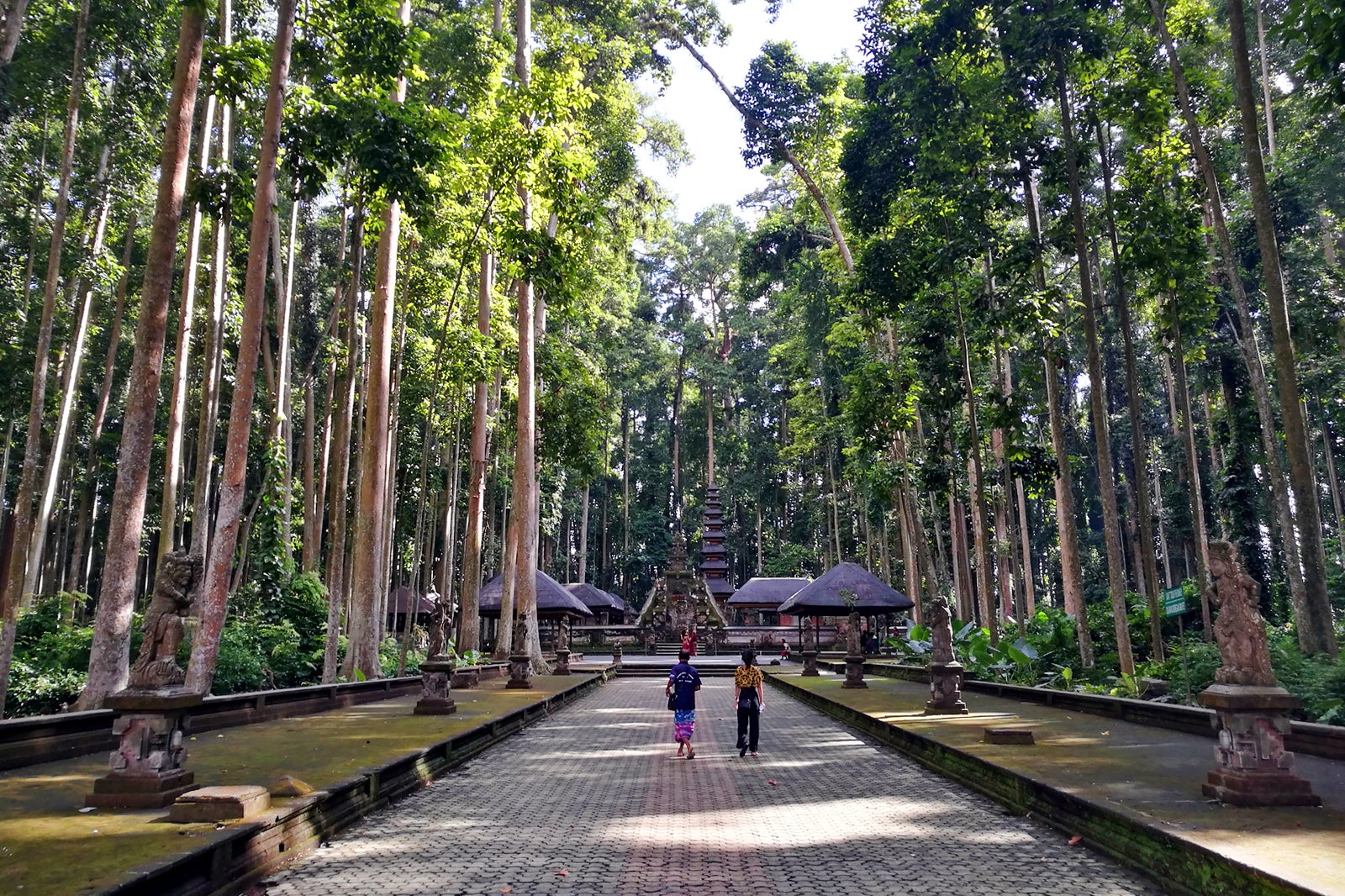 جنگل میمون سنگه - Sangeh Monkey Forest