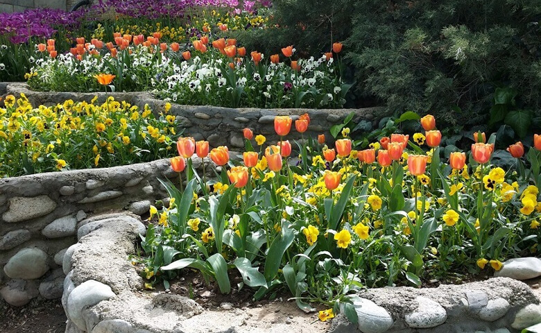 آدرس پارک ساعی در تهران - Address of Sai Park