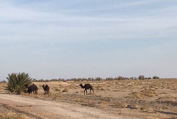 روستاهای مسر و فرحزاد - MESR & FARAHZAD VILLAGES