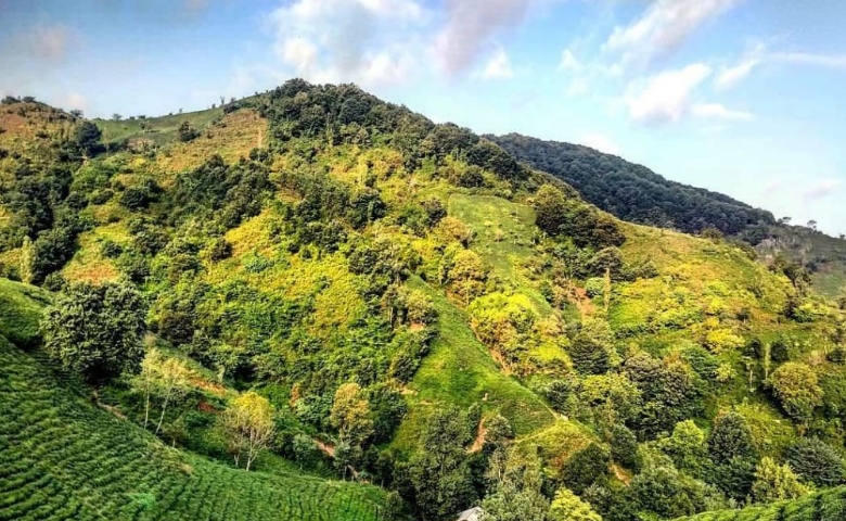 ییلاق لیلا کوه: جاذبه‌ای چهار فصل با رنگ و زیبایی بی‌نظیر - Lila Kouh summer cottage, four seasons of color and beauty