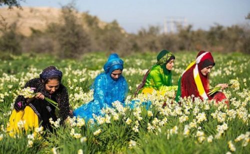 رویدادهای زمستانی: - Events in winter: