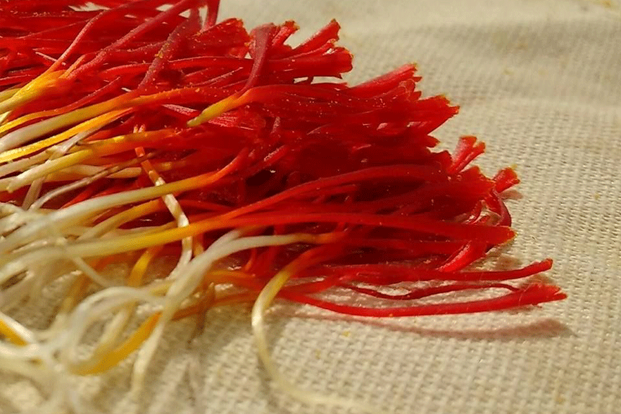 قیمت زعفران ایران - Iranian Saffron Pricing