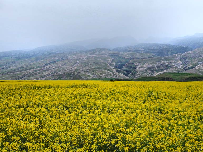 زمان مناسب برای بازدید از دره خزینه - The best time to visit Khazeena Valley