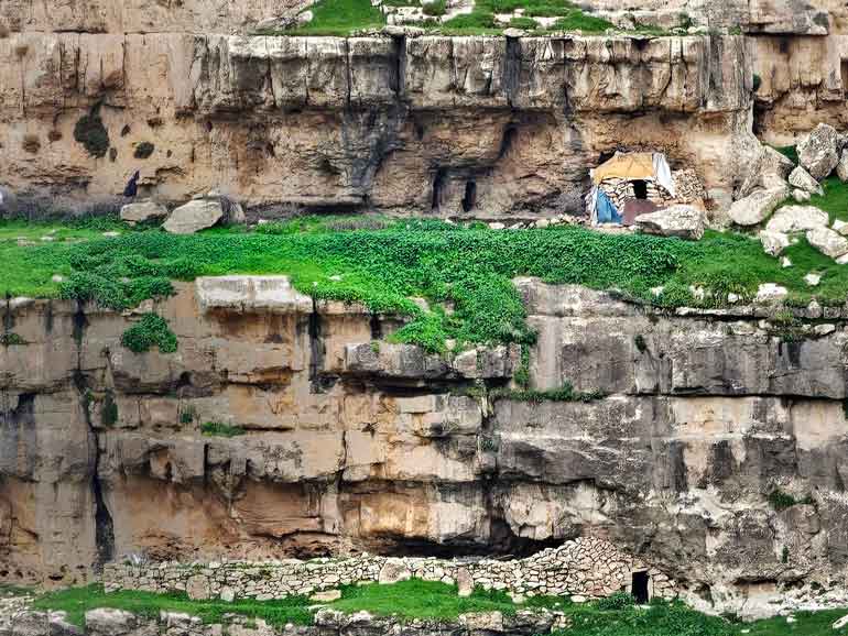 تنوع پوشش گیاهی و جانوری دره - Vegetation and fauna of the valley